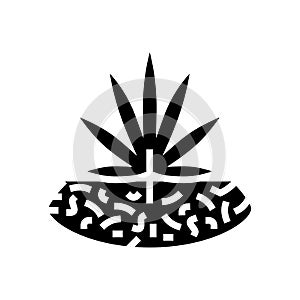 marijuana drug plant glyph icon vector illustration