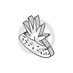 marijuana drug plant isometric icon vector illustration