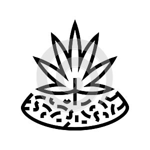 marijuana drug plant line icon vector illustration