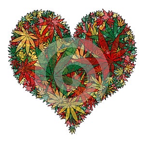 Marijuana heart