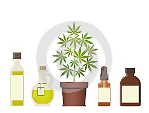 Marijuana plant and cannabis oil. Medical marijuana.