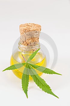 Marijuana plant and cannabis oil