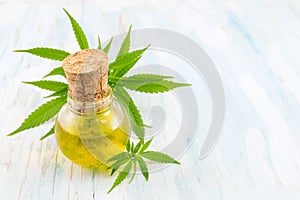 marijuana plant and cannabis oil