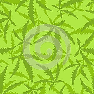 Marijuana is a seamless pattern. Background of narcotic plant.