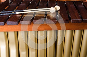 Marimba keys and resonators close up