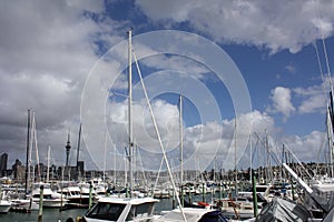 Marina with Auckland Skytower