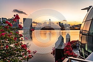 Marina Bay and Gardens at night sunriseViews around Singapore , Asia