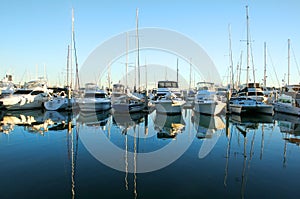 Marina Boats At Daybreak