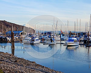 Marina with boats and Mt.Ranier in Tacoma, WA.