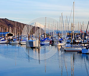 Marina with boats and Mt.Ranier in Tacoma, WA.