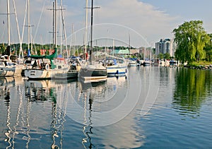 Marina with Boats Reflecting in the Water