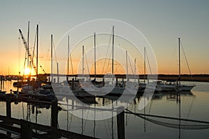 Marina boats at sunrise with blue sky