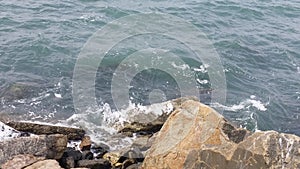 Marina Bridge, creekside