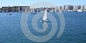 Marina Del Ray