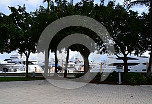 Marina in Downtown West Palm Beach, Florida