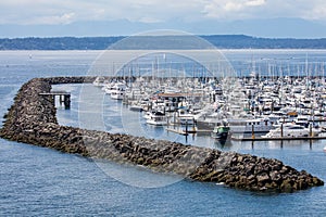 Marina in Elliott Bay