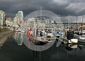 Marina in False Creek photo