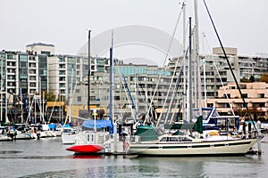 Marina at False Creek, Vancouver, BC.