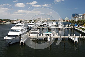 A marina in Ft. Lauderdale