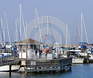 Marina Gas Station