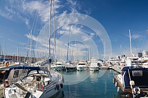 Marina in Genova photo