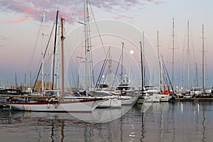 Marina in the harbor of old port in Palma, Mallorca, Spain