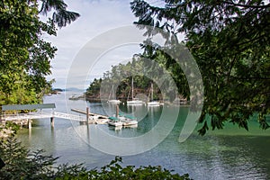 Marina in hidden harbor, Victoria, Canada