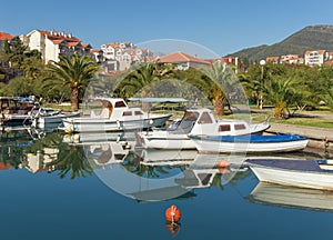 Marina Kalimanj.Tivat city, Montenegro