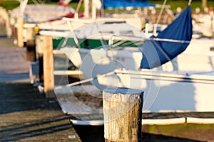 Marina on Lake Cayuga photo