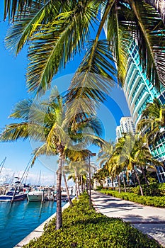 Marina in Miami Florida