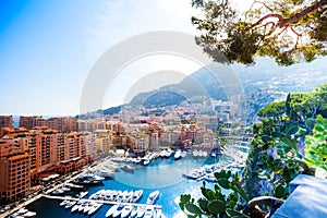 Marina in Monaco city