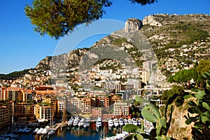 Marina in Monte Carlo