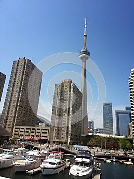 Marina overlooking Toronto Harbourfront