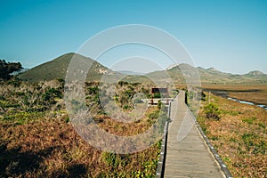 The Marina Peninsula Trail at Morro Bay State Park goes through the estuary and elfin forest near the harbor, California