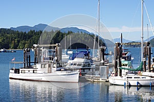 Marina at Porpoise Bay of Sechelt Inlet