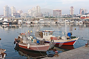 Marina Punta del Este Uruguay photo