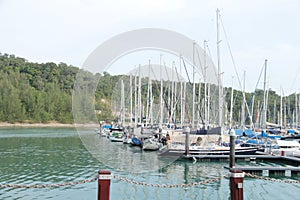 Marina with sail boats near hills