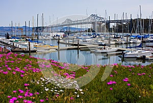 Marina in San Francisco