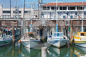 Marina scene with charming boats in San Francisco.