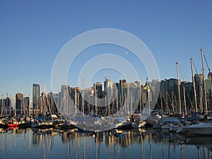 Marina & Vancouver Downtown