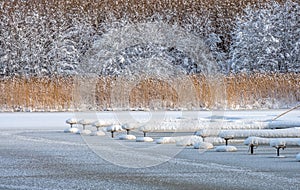 Marina in winter