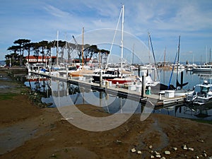 Marina Yacht Harbor San Francisco, CA