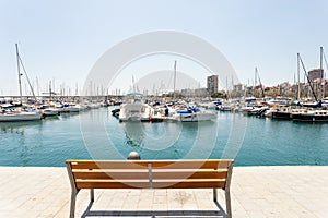 Marina with yachts in Alicante, Spain. Empty bench with view on marina bay, sunny day