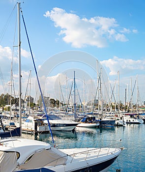 Marina yachts motorboats citycsape Cyprus