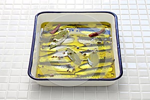 Marinated anchovies, spanish tapas food photo