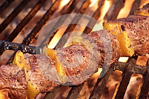 Marinated BBQ Meat Or Beef Kebab Kabob On Hot Grill