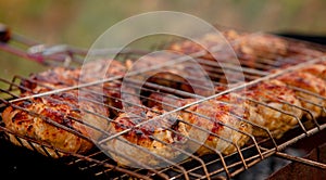 Marinated chicken legs on the grill in the smoke. A picnic, tasty food. BBQ