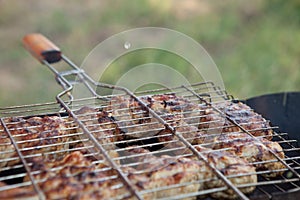 Marinated chicken legs on the grill in the smoke. A picnic, tasty food. BBQ