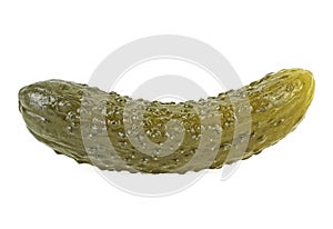 Marinated cucumber isolated on white background.  Gherkin. Salted cornichon