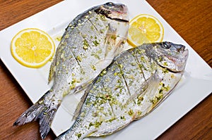 Marinated gilthead fishes photo